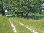 Буланове з panoramio.com