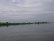 Кардашинка з panoramio.com