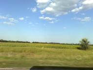 Trudovyk - Latest photos