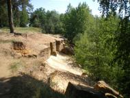 Чернеччина з panoramio.com