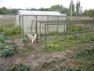 Новоайдар з panoramio.com