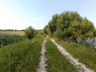 Пінчуки з panoramio.com