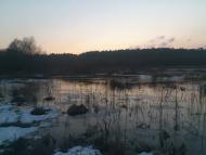 Старикове з panoramio.com