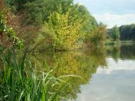 Демівщина з panoramio.com