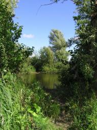 Козятин з panoramio.com