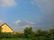 Олешник з panoramio.com