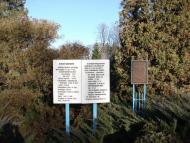 Васьківці з panoramio.com