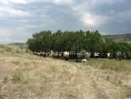 Багерове з panoramio.com