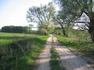 Довге з panoramio.com