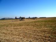 Весела Тарасівка з panoramio.com