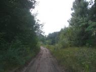 Торське - Останні фото