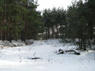 Троянівка з panoramio.com