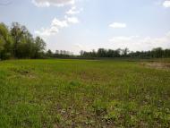 Рижанівка - Останні фото