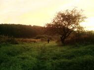 Ракошино з panoramio.com