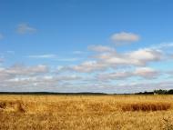 Сокільча з panoramio.com