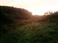 Ракошино з panoramio.com