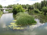 Дворічна - Останні фото