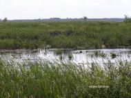 Тур з panoramio.com