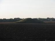 Дівички з panoramio.com