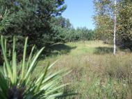 Сахутівка з panoramio.com