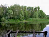 Правобережна Сокілка з panoramio.com