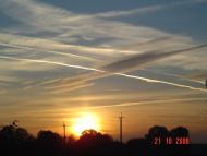 Волошки з panoramio.com