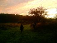 Ракошино з panoramio.com