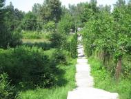 Стрілецький Кут з panoramio.com