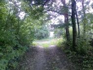 Андрушівка з panoramio.com