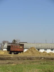 Волошки з panoramio.com