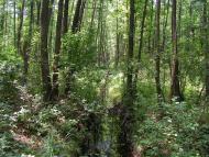 Забужжя з panoramio.com