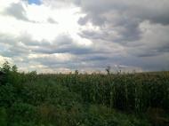 Березівка з panoramio.com
