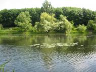 Осички з panoramio.com