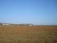 Закупне з panoramio.com