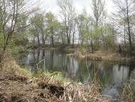 Підвиноградів з panoramio.com