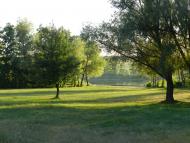 Новоархангельськ з panoramio.com