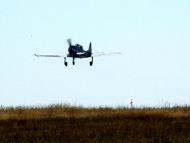 Весела Тарасівка з panoramio.com