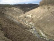 Шебутинці з panoramio.com