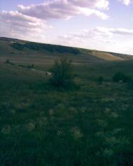 Березівка з panoramio.com