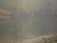 Верлок - Останні фото