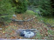 Бистриця з panoramio.com