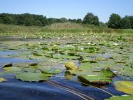 Верхоли з panoramio.com