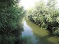 Рудня з panoramio.com