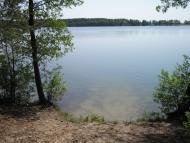 Заболоття з panoramio.com