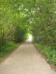 Стукалівка з panoramio.com