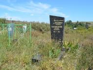 Королівка - Останні фото