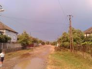 Олешник з panoramio.com