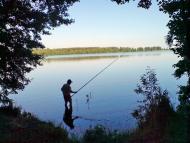 Заболоття - Останні фото