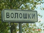 Волошки з panoramio.com