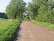 Товстоліс з panoramio.com